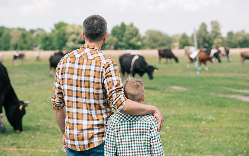 farmer in field looking at animals